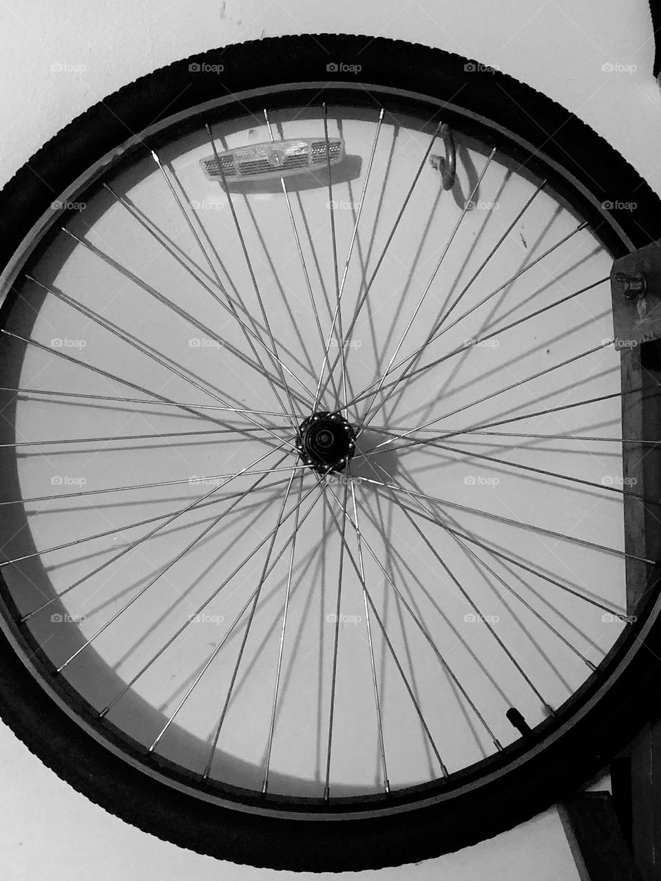 Wheel