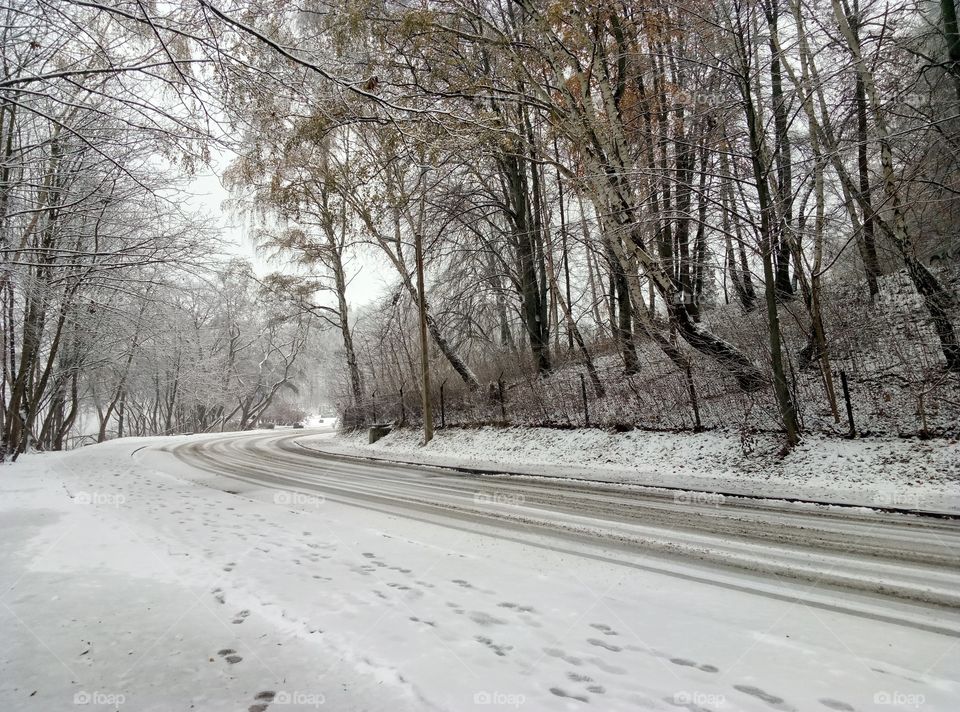 Winter, Snow, Road, Landscape, Cold