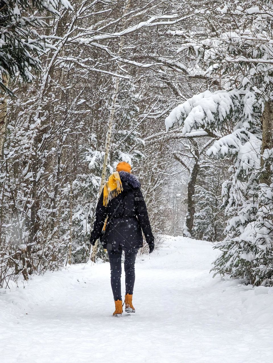 A walk in a beautiful winter fairy tale