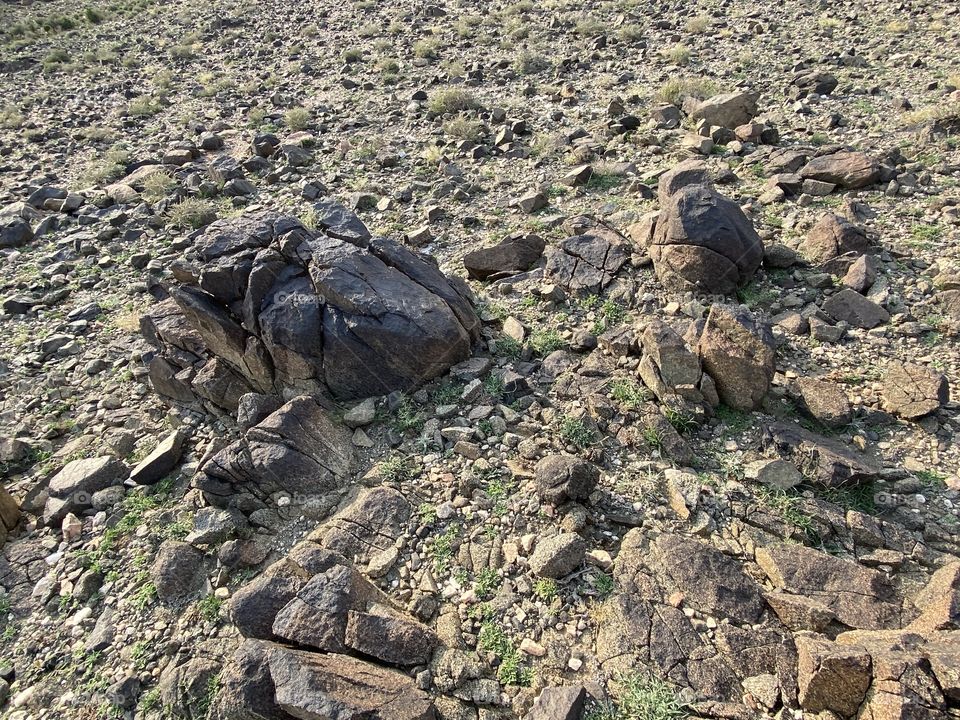 Beautiful Desert 🏜