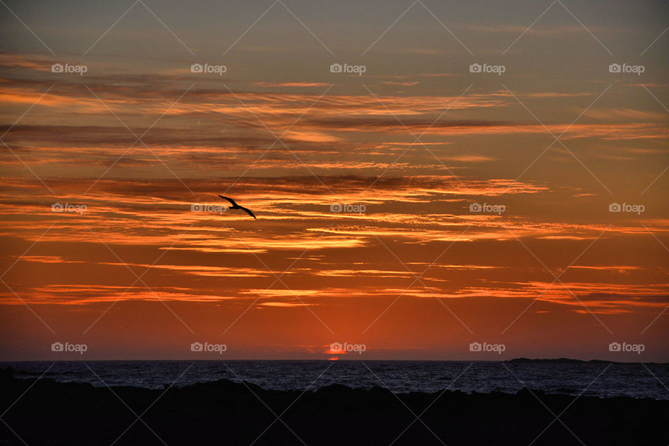 Midnight sunset, Runde, Norway