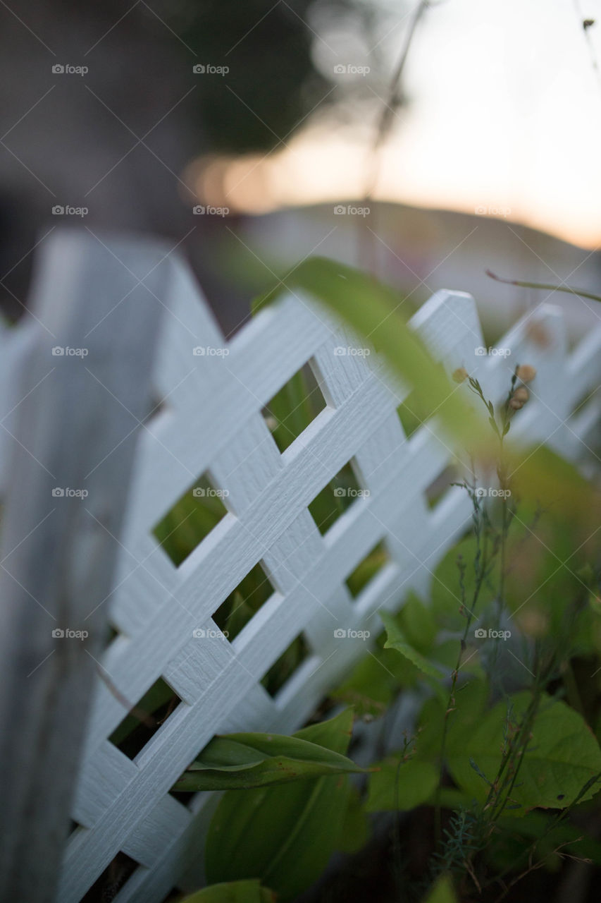 fence