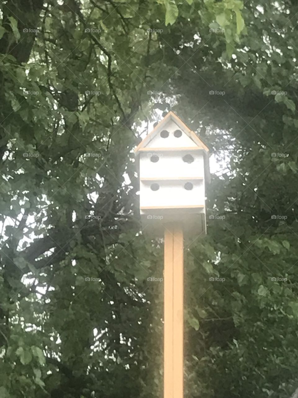 A bird house hotel.