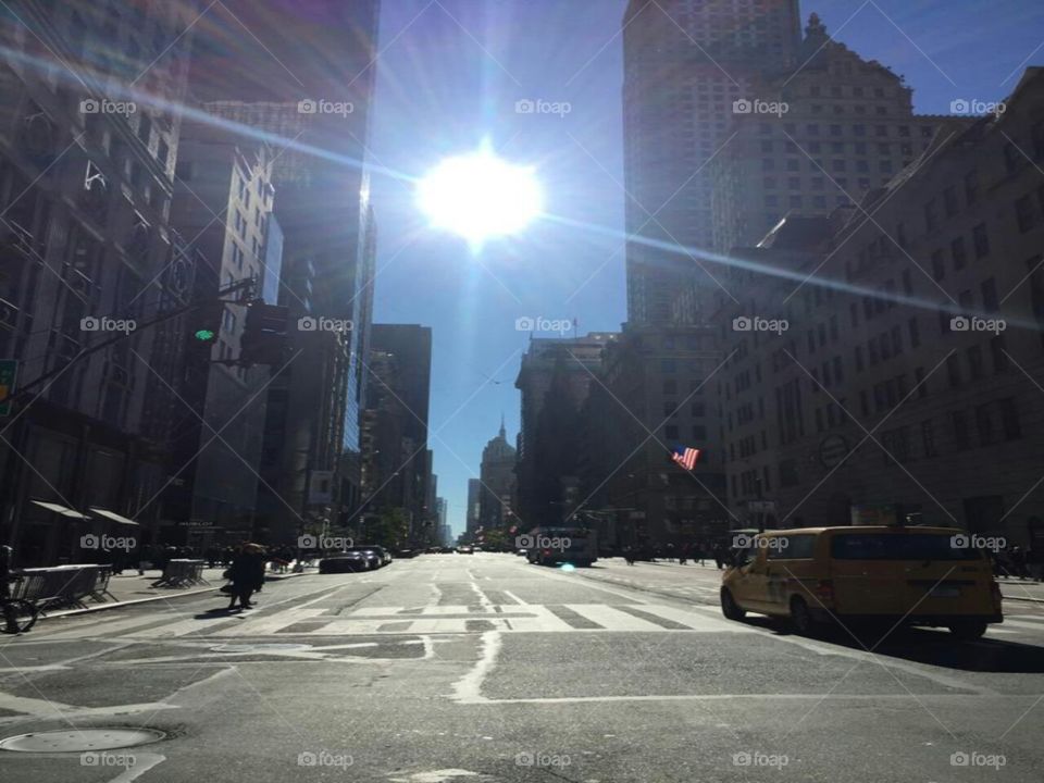 a bright day on 5 ave nyc