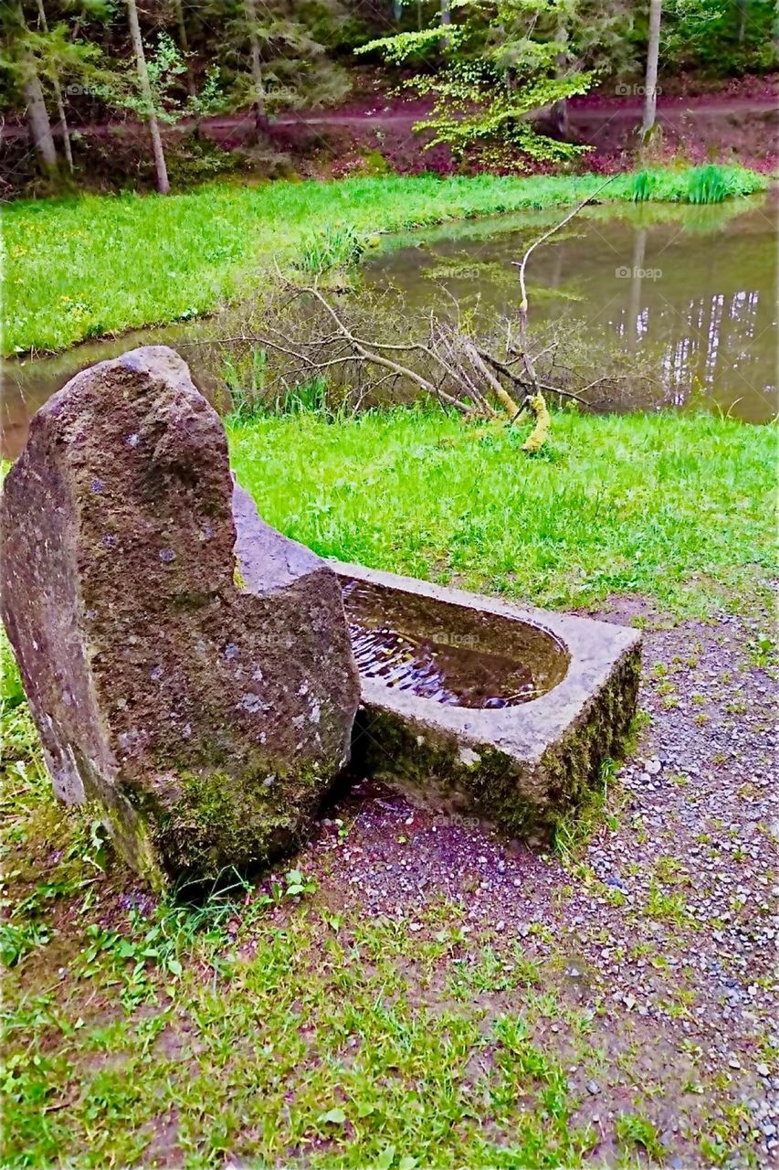 This is a freshwater spring from a rock in a clearing of the “Bayerischer Wald”, the “Bavarian Forest” near “Eging” and the “Eging Lake”, the “Eginger See”. The water flows from a faucet into a stone basin below. 2024. Hypnotic Productions