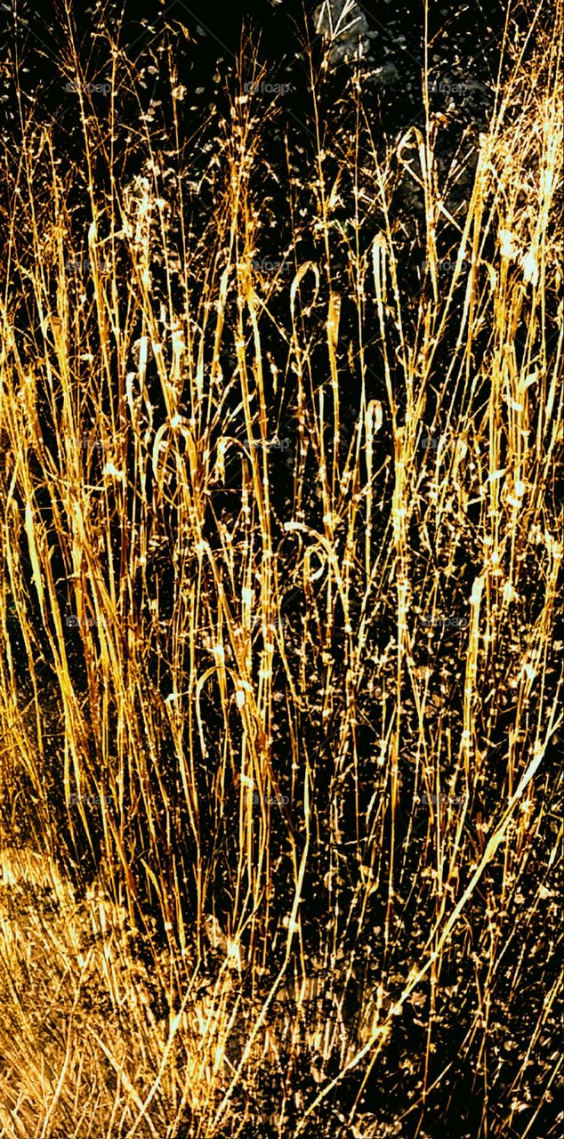 art design pattern gold