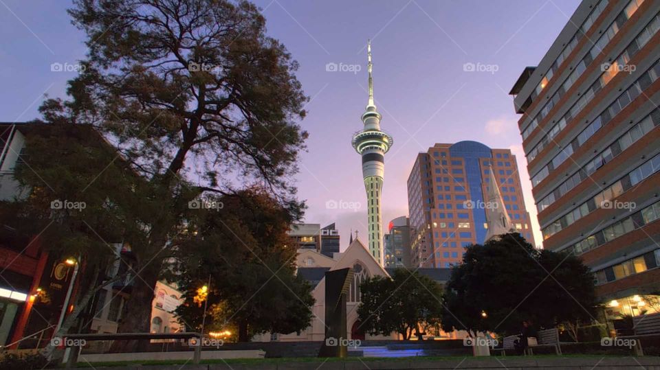 Cityscape Auckland CBD