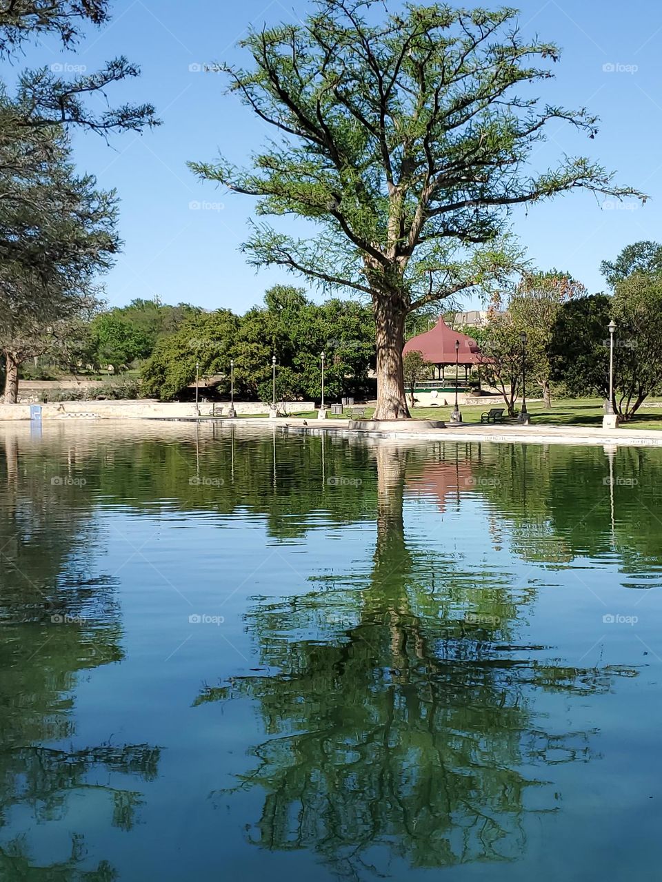 A pastel blue sky reflecting in a spring fed pool.