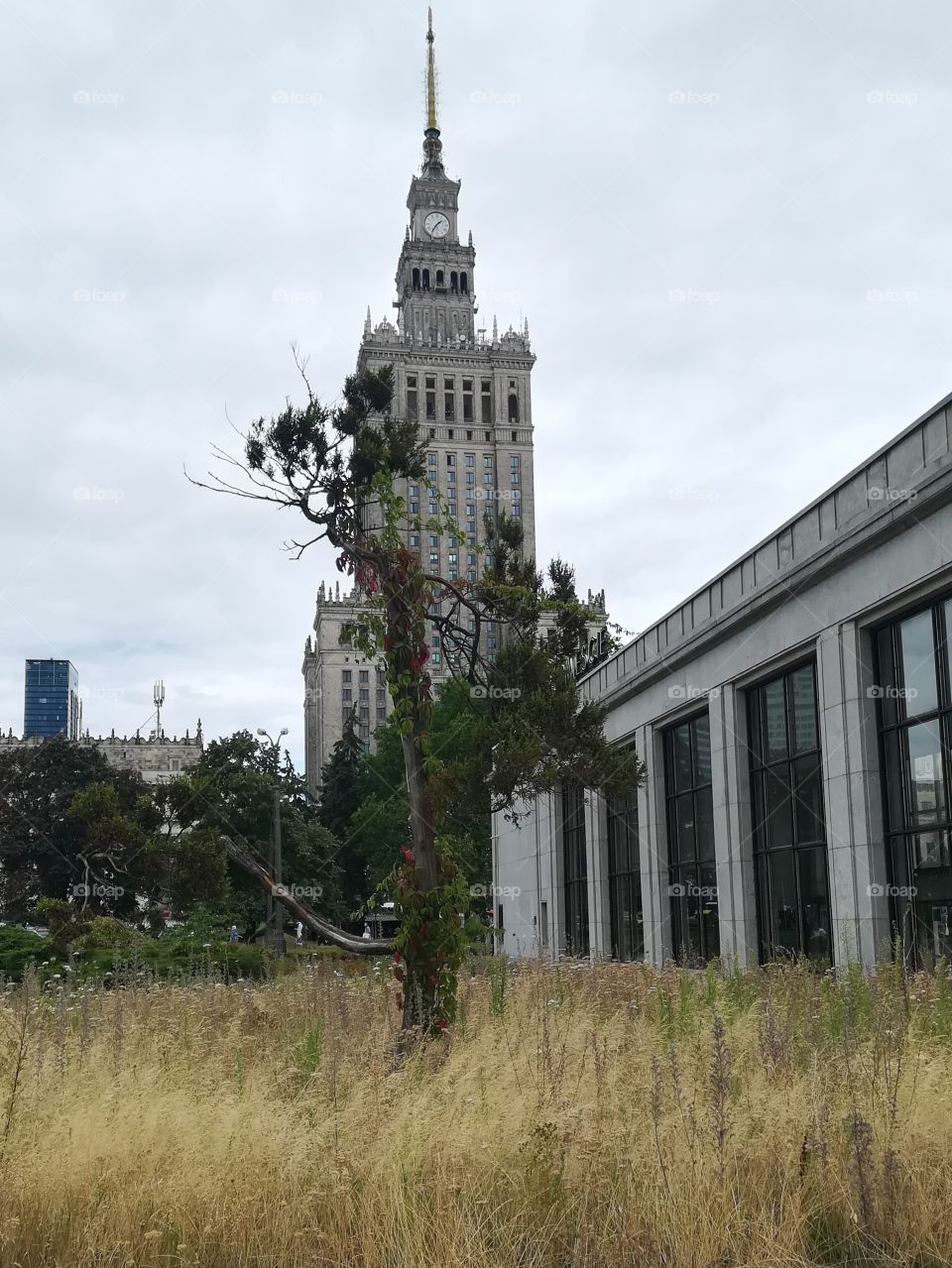 Palace of Culture and Science - Warsaw