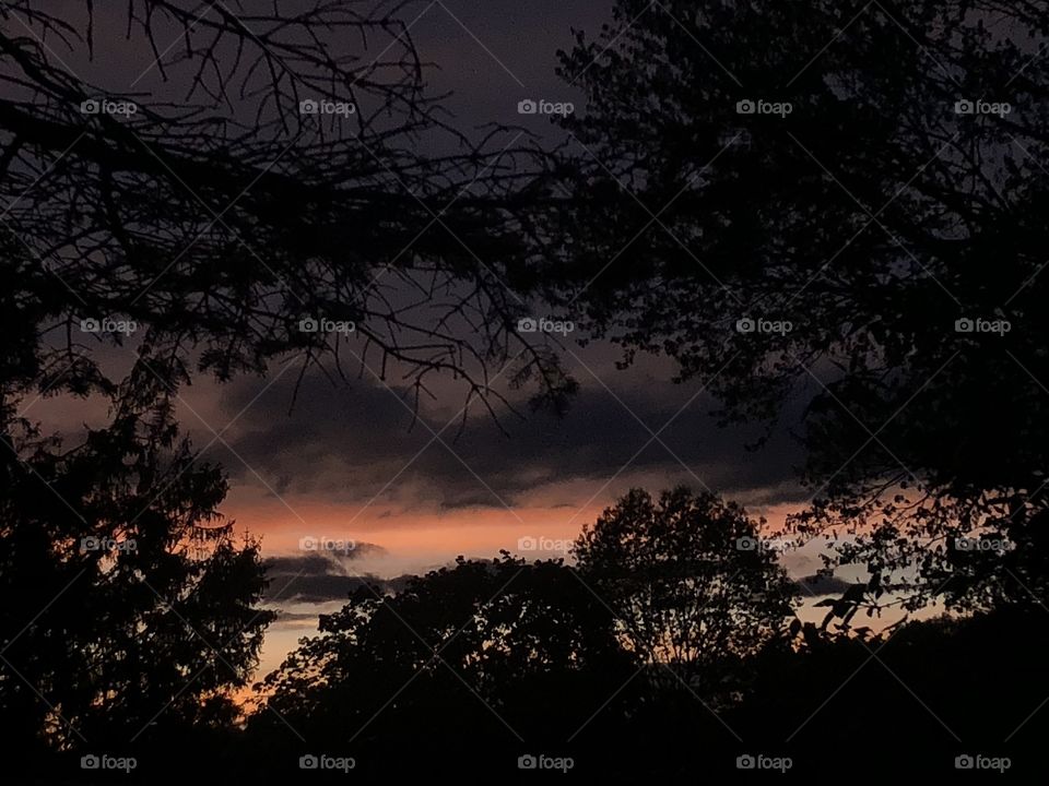 Sunset through the trees after the storm. Beautiful Sky. Darkness enveloping the light.