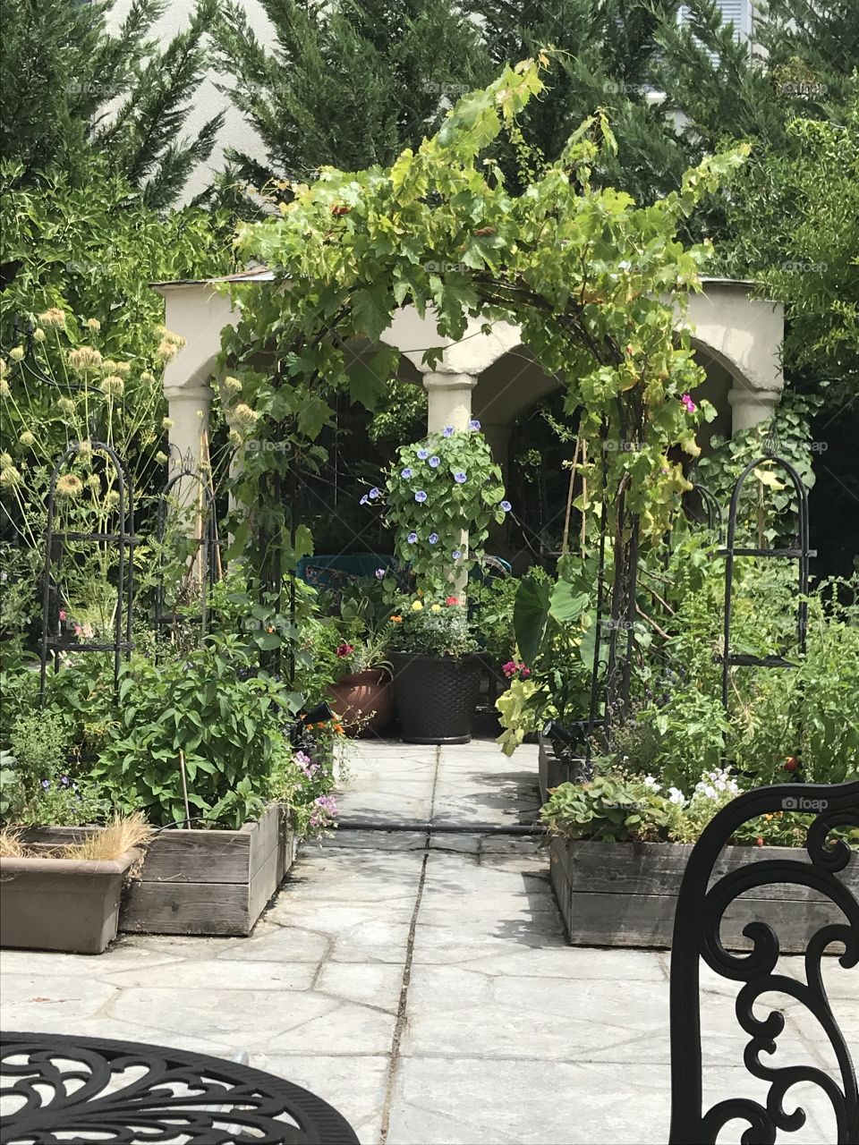 Backyard gazebo and garden planters