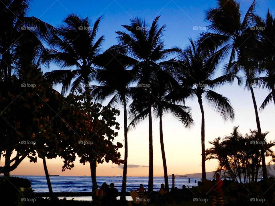 Coqueiros Por do sol Waikiki Beach
