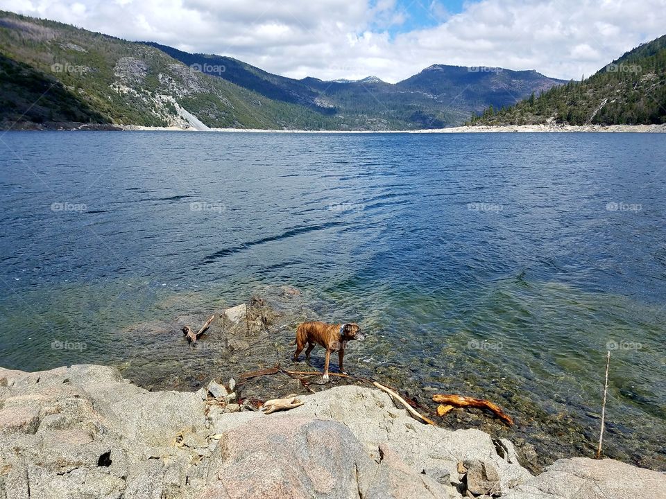 Thor up in the Sierras