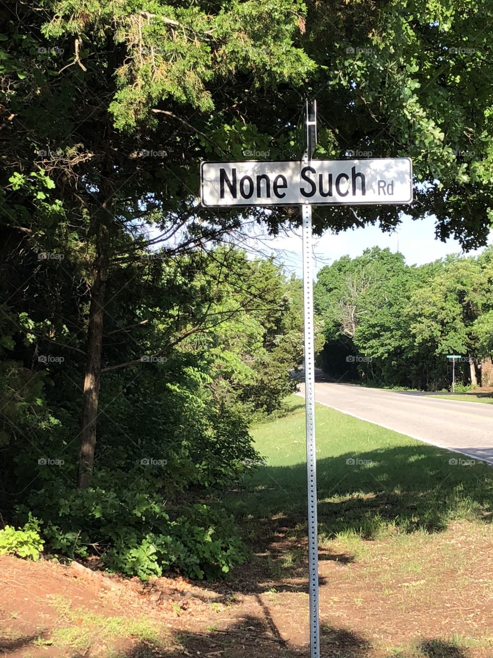 Unusual Street Sign 