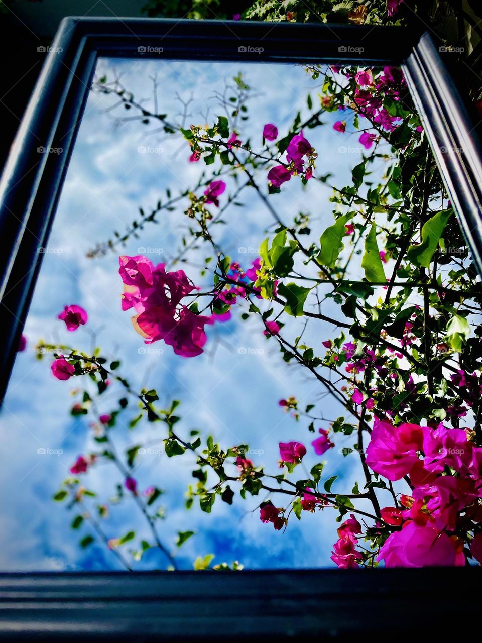 Reflection of my soul.