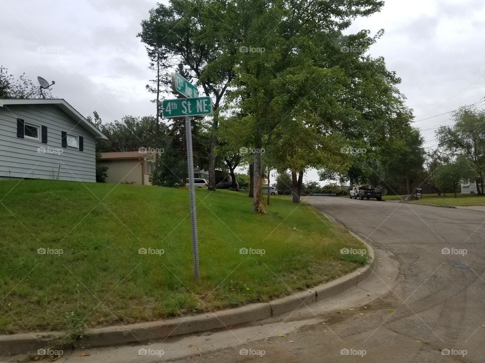 Road, Guidance, Tree, No Person, Home