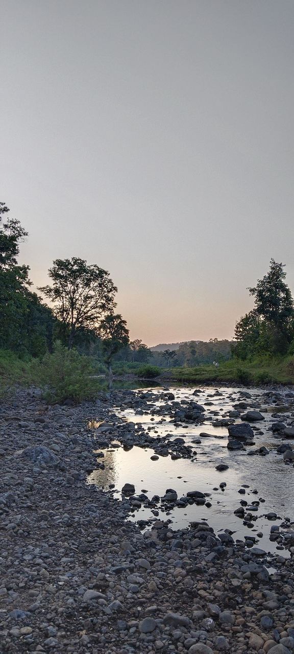 nature river