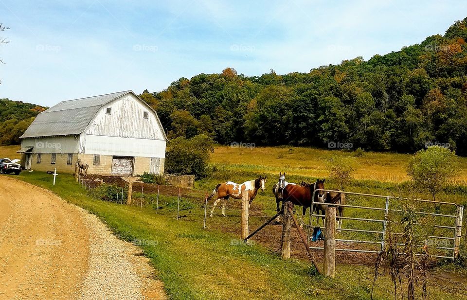 Driving the Back Roads and enjoying everything around us