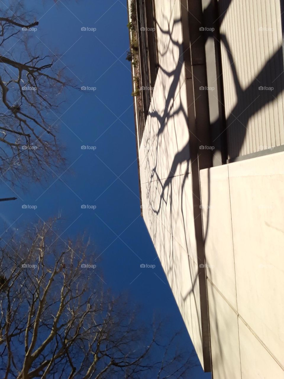 Shiny winter in town