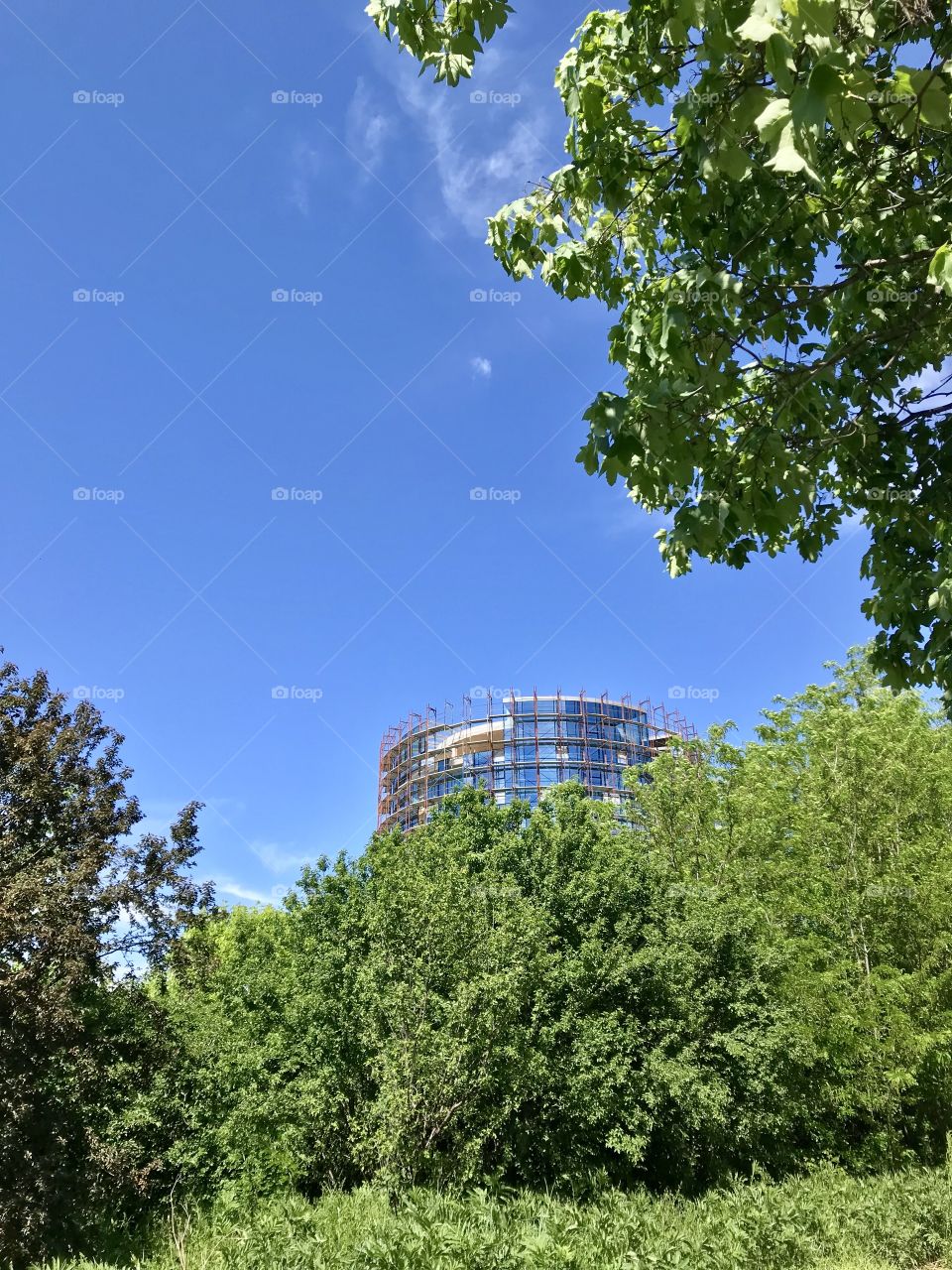 Architecture and nature.