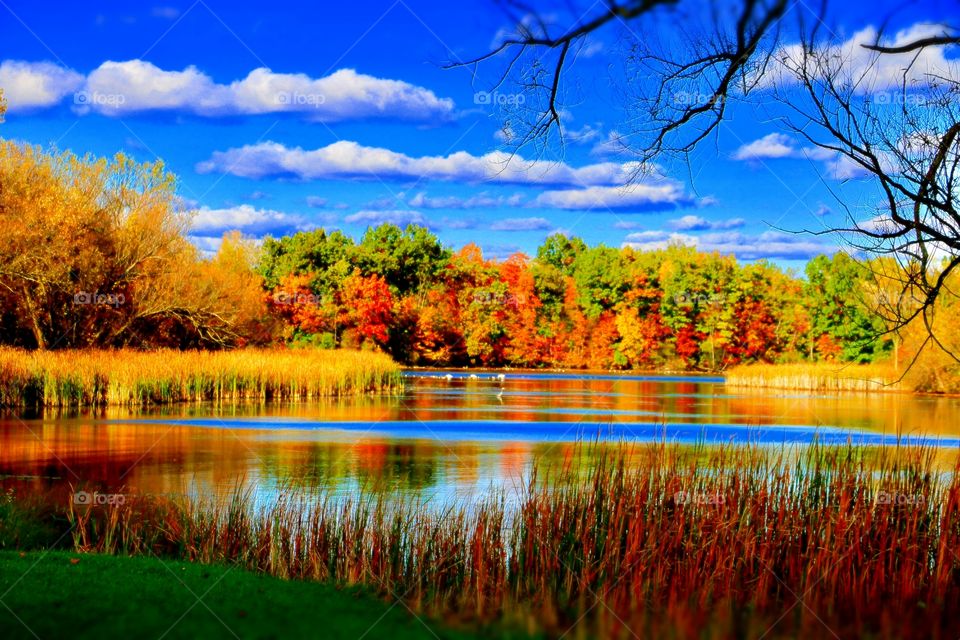 Pure Michigan in the Fall. Stoney Creek Metro Park