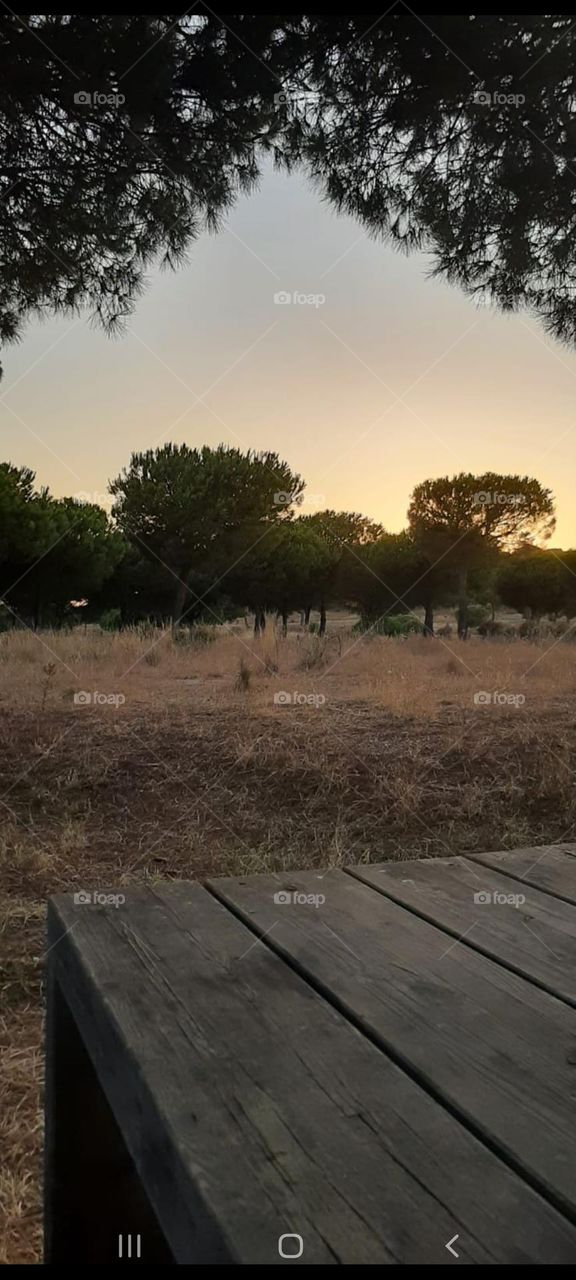 Puerta a la naturaleza