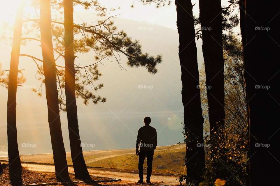 Golden hour at the lake