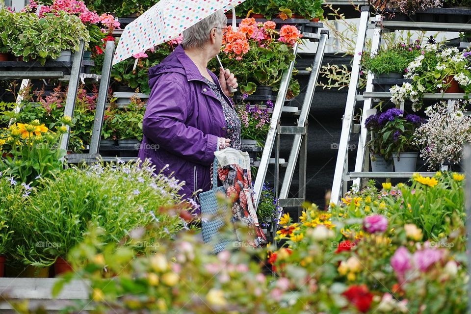 buying flowers in the summer rain