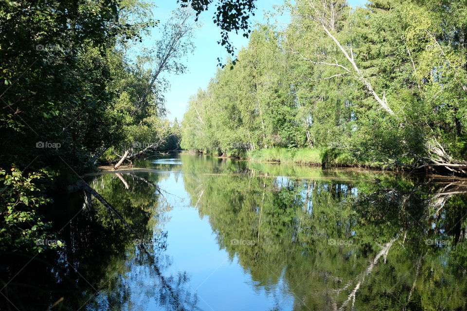 Water, Nature, Tree, River, Wood