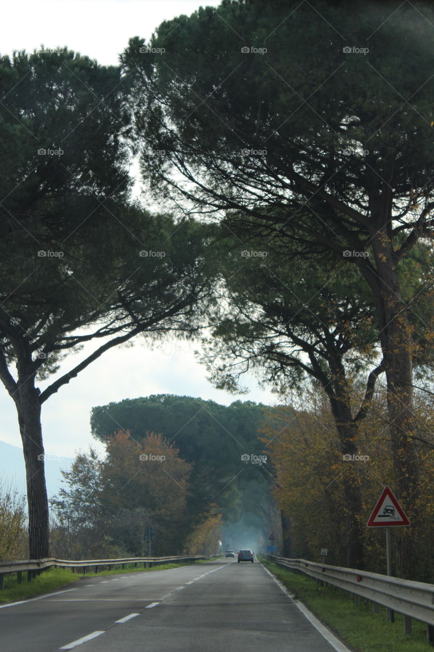 Lovely road, Italy