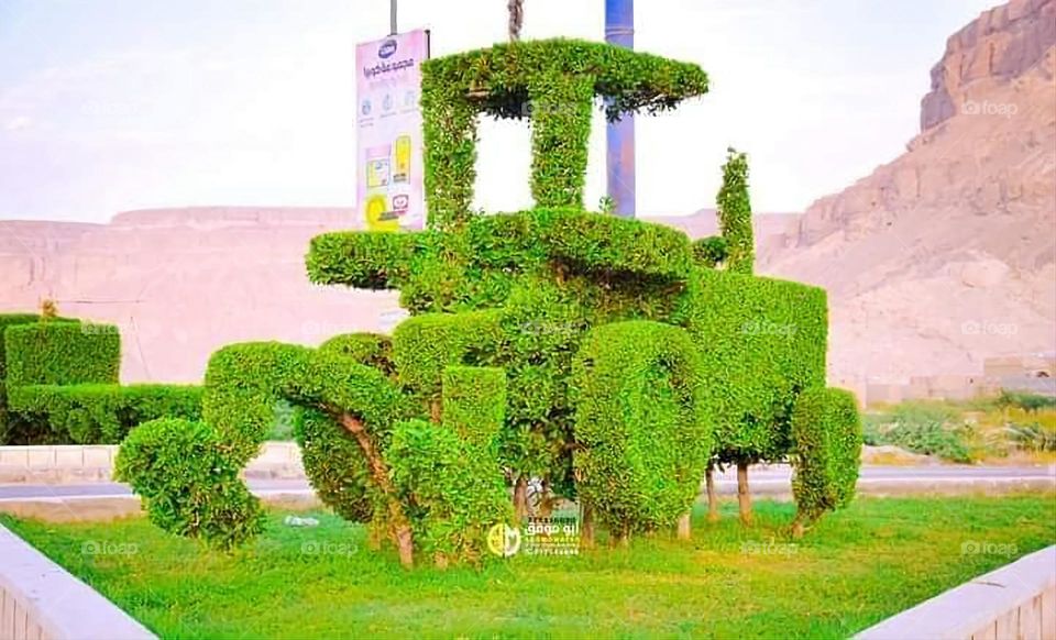 Glory be to God, the magnificent and picturesque view and the natural green trees are a view that is nothing more wonderful than it