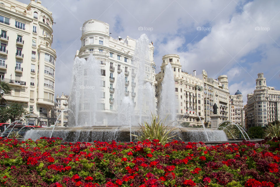 valencia spain flowers city red by ventanamedia