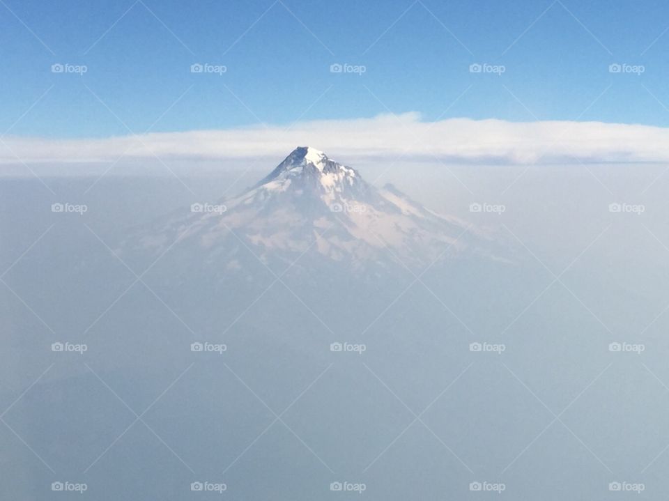 Mt Hood above the clouds