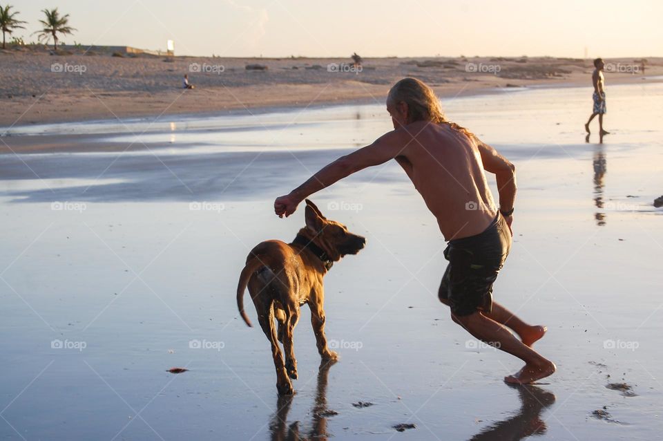 Man playing with dog in the beach 