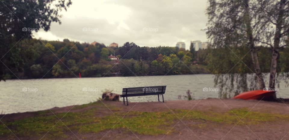 "The thinking bench"