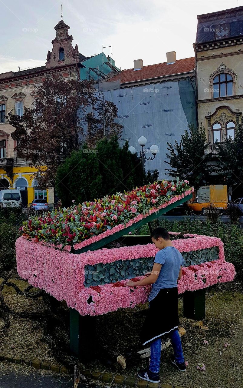 magenta flower piano