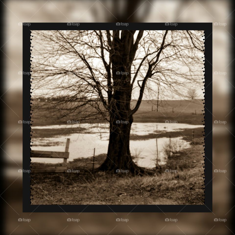 Once Upon An Early Spring