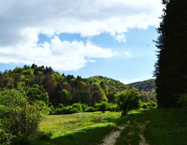 Green wood