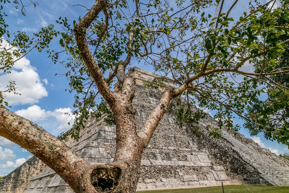 Chichen Itza Pyramid. Yucutan, 
México 