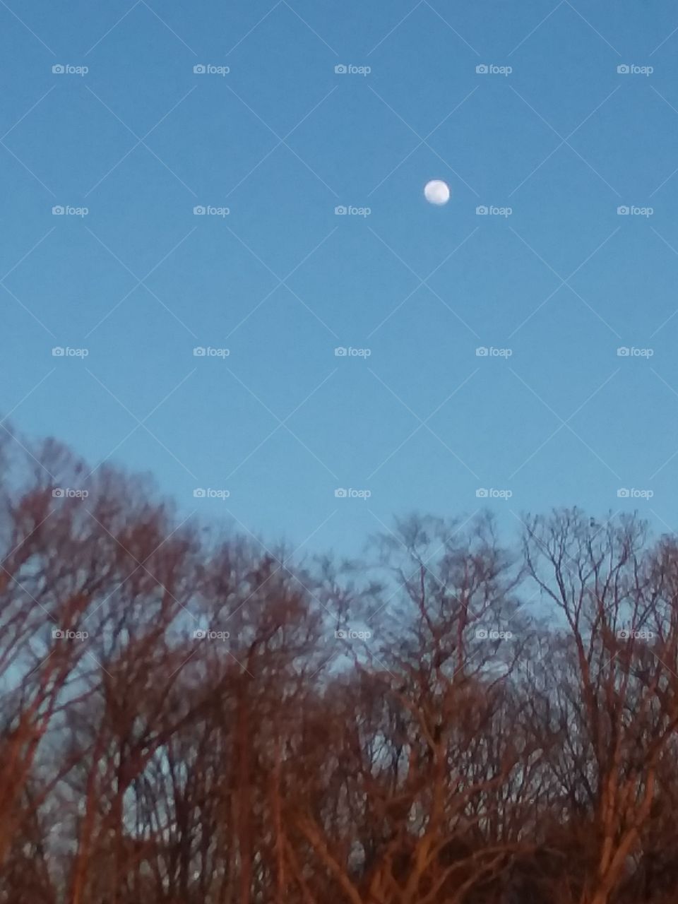 The moon and the country