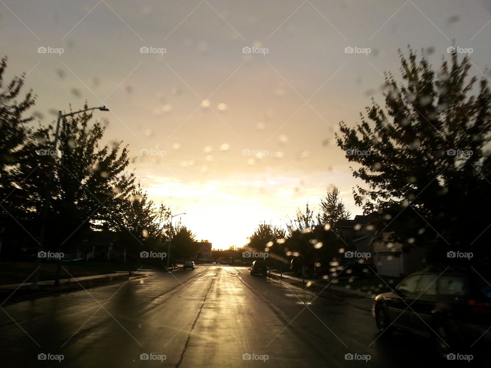 sunrise. rain