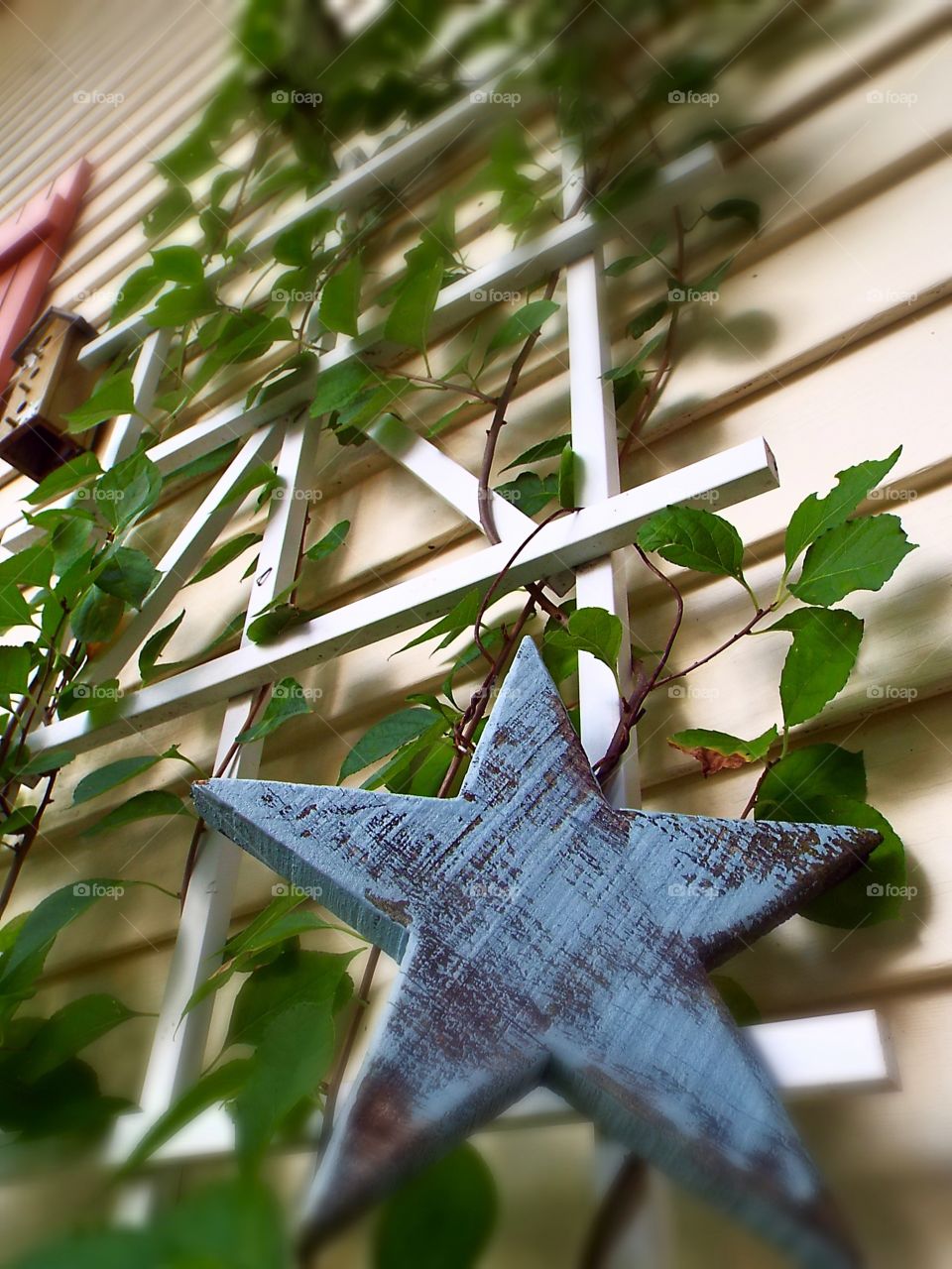 Low angle view of white trellis resting against siding with wooden star