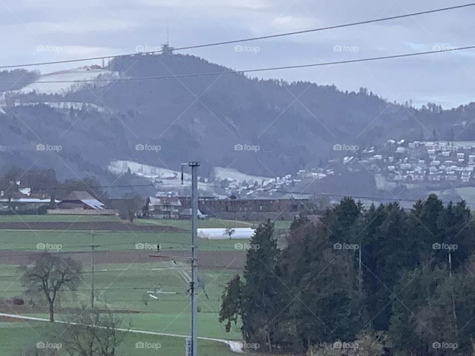 Swiss 