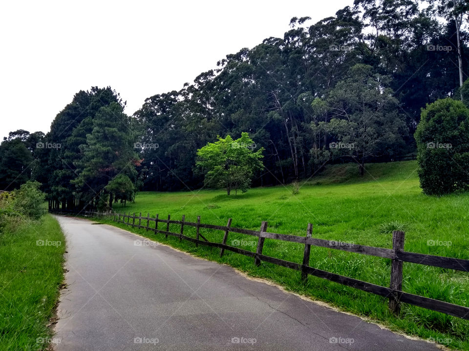 Pequena estrada com cerca de madeira - Small road with wood fences