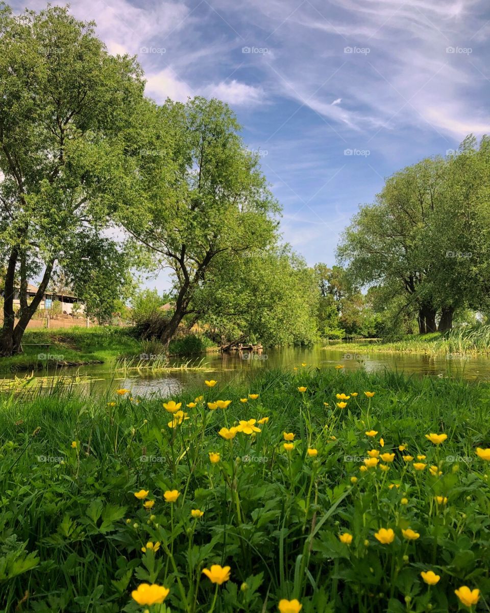 Деревенский пейзаж