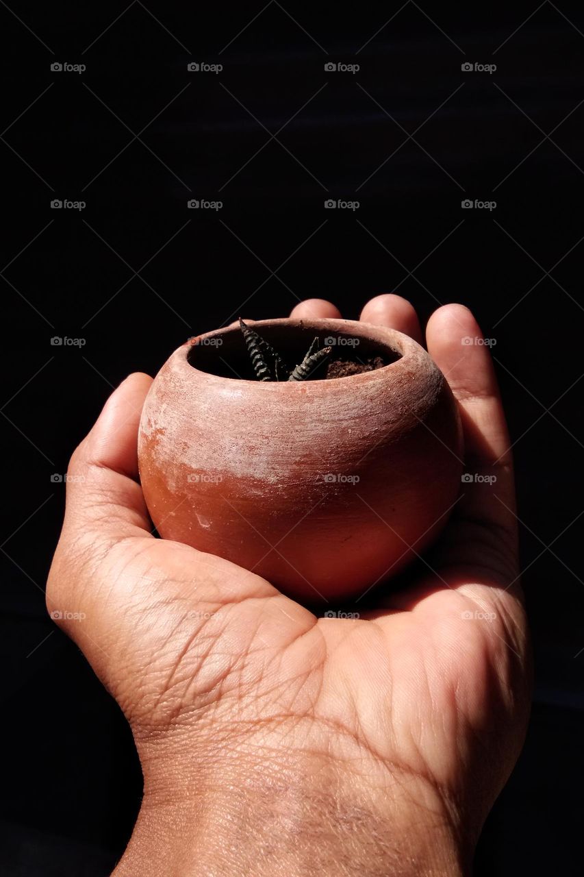 a hand holding  a clay pot with small cactus plant