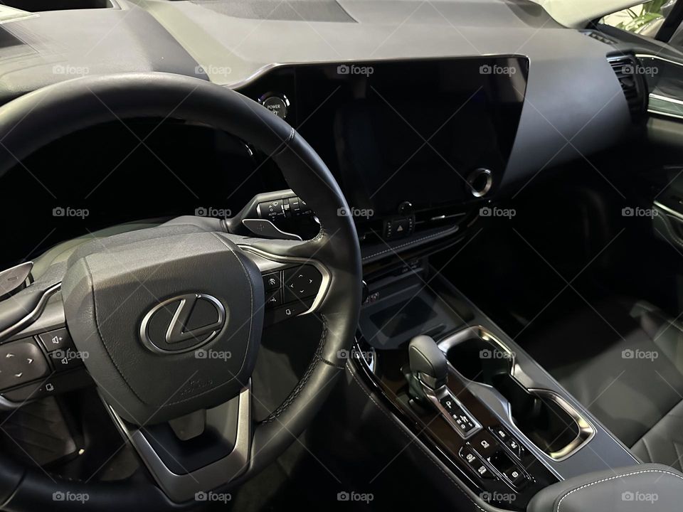 Lexus interior