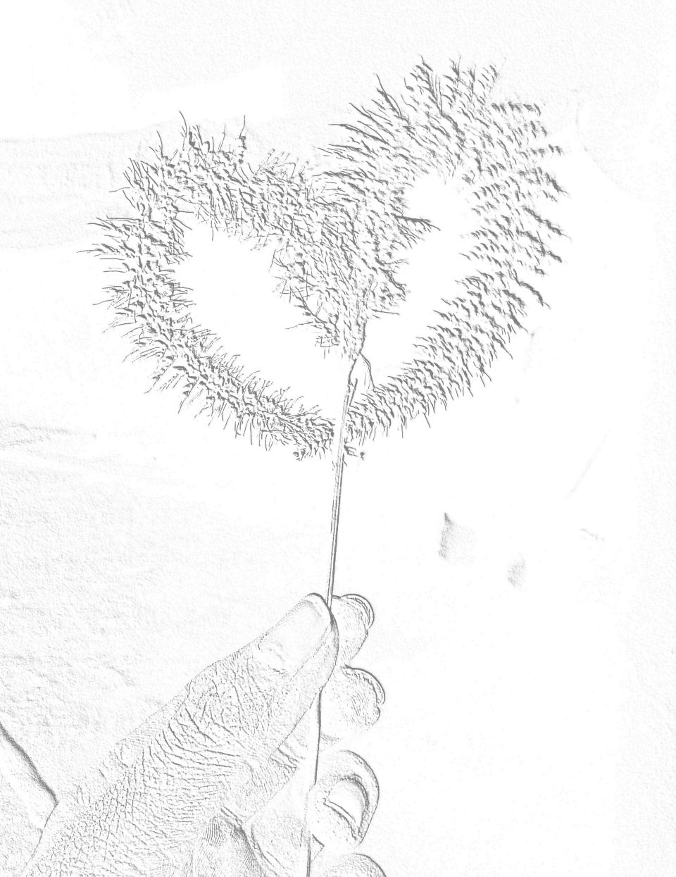 This photo of my heart / delicate heart like a photo of my heart / My heart for you / I have given you photos of my heart / Photo of my precious heart / This heart I have given to you / Photos of the most precious heart in the world / To be alive  It