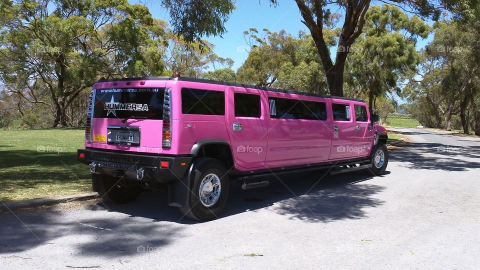 Pink limousine
