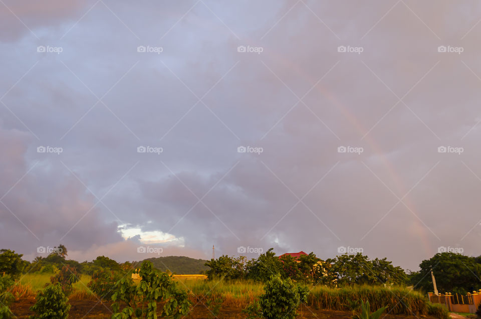 Sunset On Land After Rain